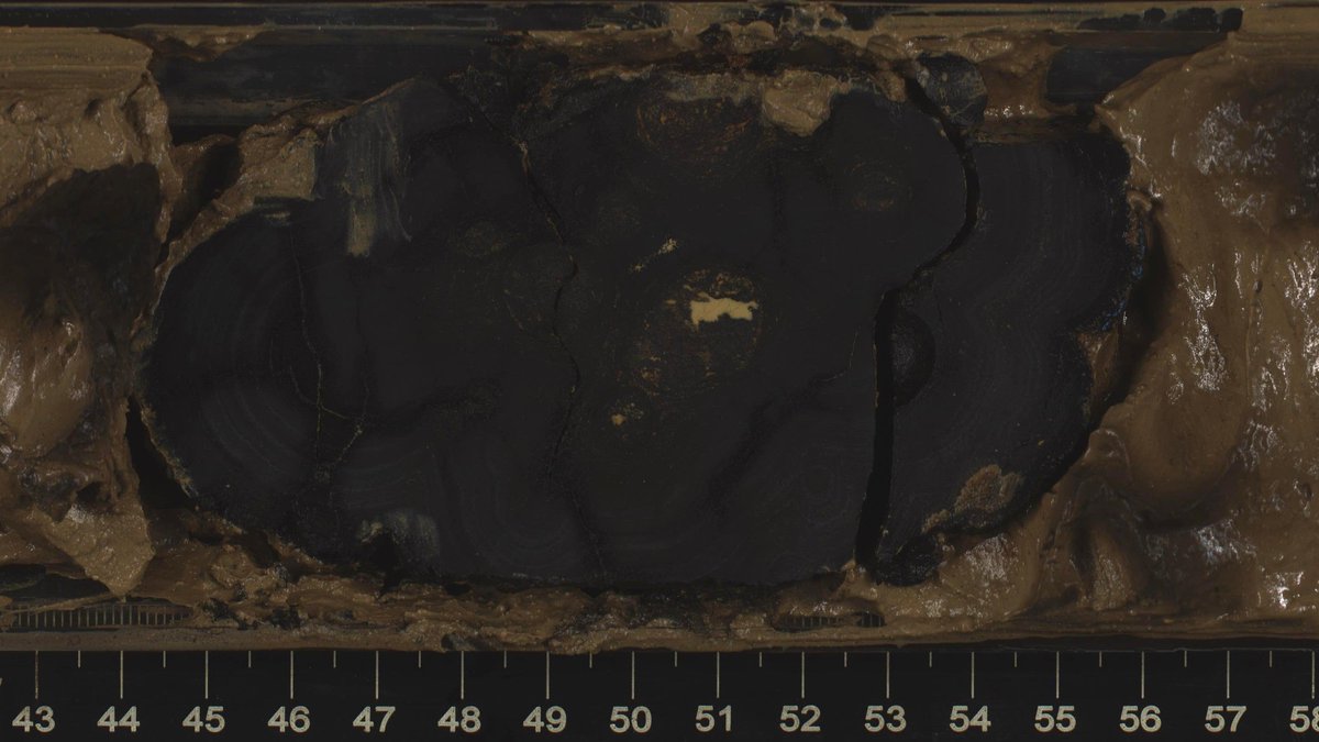 GCR_IODP's tweet photo. Happy #SectionSaturday! Featured below is an Mn nodule in 329-U1370D-2H-2A from #IODP #EXP329: South Pacific Gyre Subseafloor Life. Mn nodules grow extremely slowly (over millions of years) & we still donβt fully understand how they form. The process may be mediated by microbes! https://t.co/q4JygypSwD