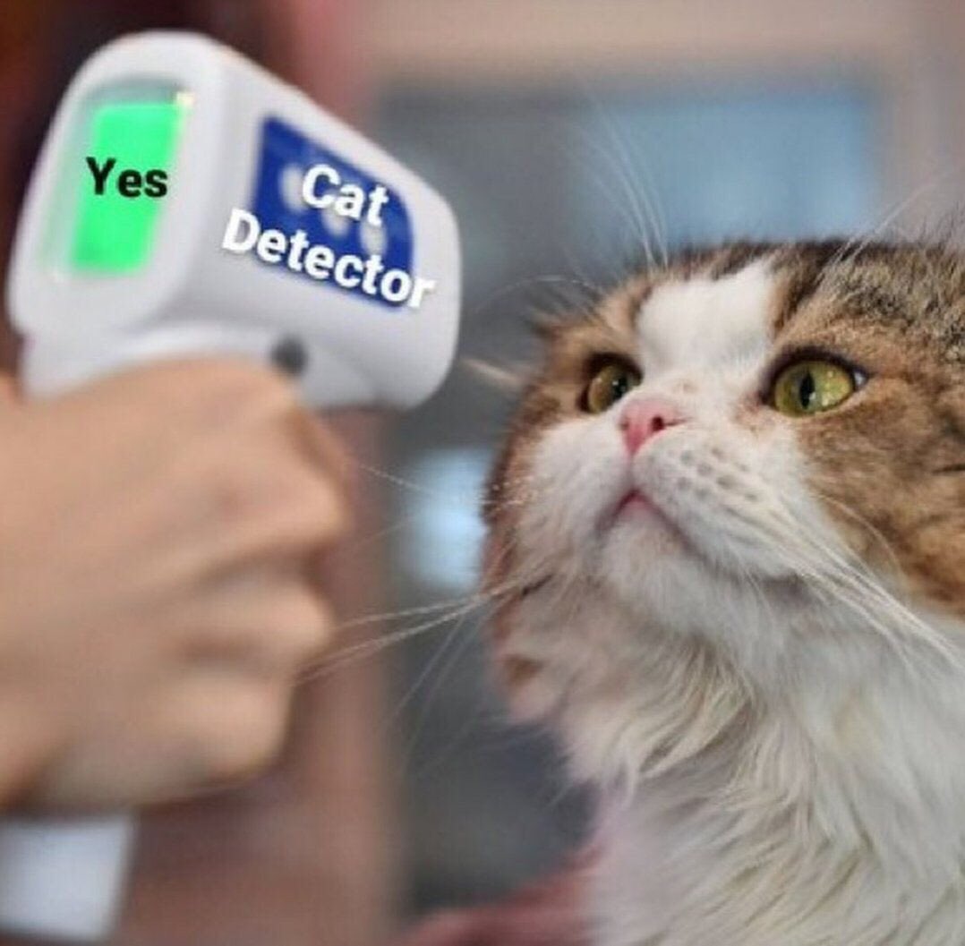 Memes From The Netherworld tweet media