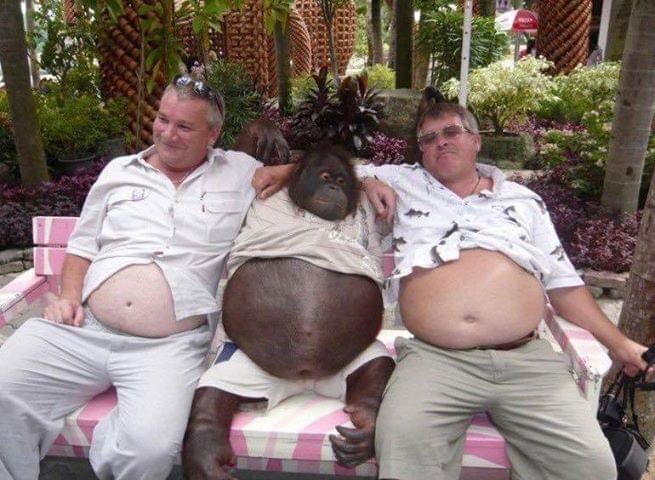 thechimpzone's tweet image. me and the boys 💯🦧