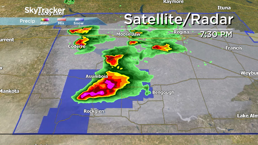 Peter Quinlan tweet media