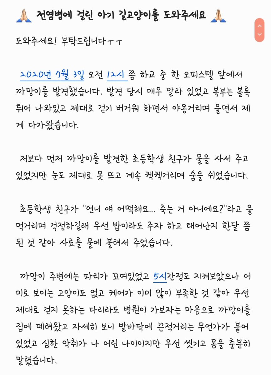 _Camem_'s tweet photo. 어제 있었던 일을 생각나는대로 적어봤습니다.

현재 통장에 모아둔 돈이 그리 많지 않아 이후 치료비를 지불하는데 힘이 들 것 같습니다ㅜㅜ
알바를 해서 돈을 벌고 싶지만 학교 규정상 징계를 받기 때문에 이렇게라도 도움을 요청해봅니다

#길고양이 #길고양이후원 #길냥이후원 #길냥이 #도와주세요 https://t.co/xIXVRsXTrn