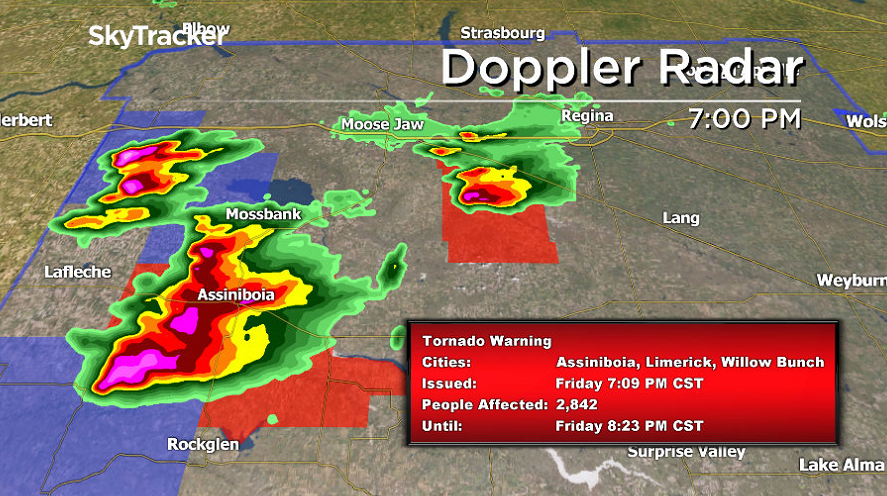 Peter Quinlan tweet media