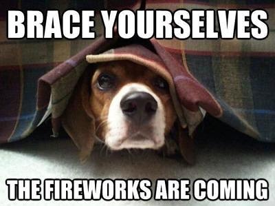 BestPawForward1's tweet photo. I hope you all are ready to help your sweet pup and kitty through the fireworks.
My pack and I are preparing too! https://t.co/8CstpUQJ2I