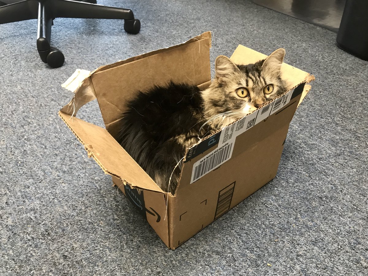 EvilMadZener's tweet photo. Am small box only. Please ship to catnip plantation. https://t.co/mz64W9ZO5F
