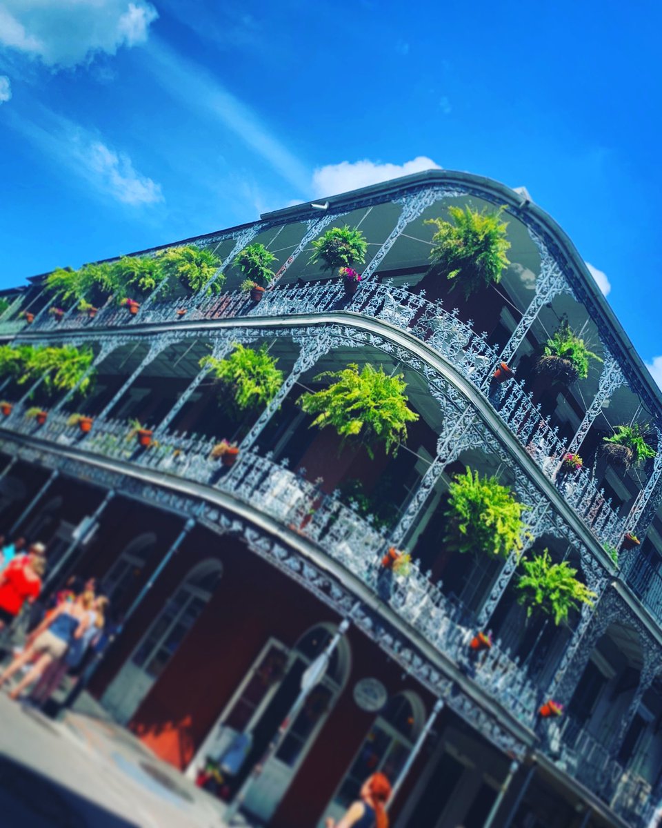 ismart24's tweet photo. 🎶 ✨🎷Blue Skies &amp; Sunshine... 🐊GUARANTEED 🌤💜🎵 #missingNOLA #nola #NewOrleans https://t.co/wcmXHusQ01