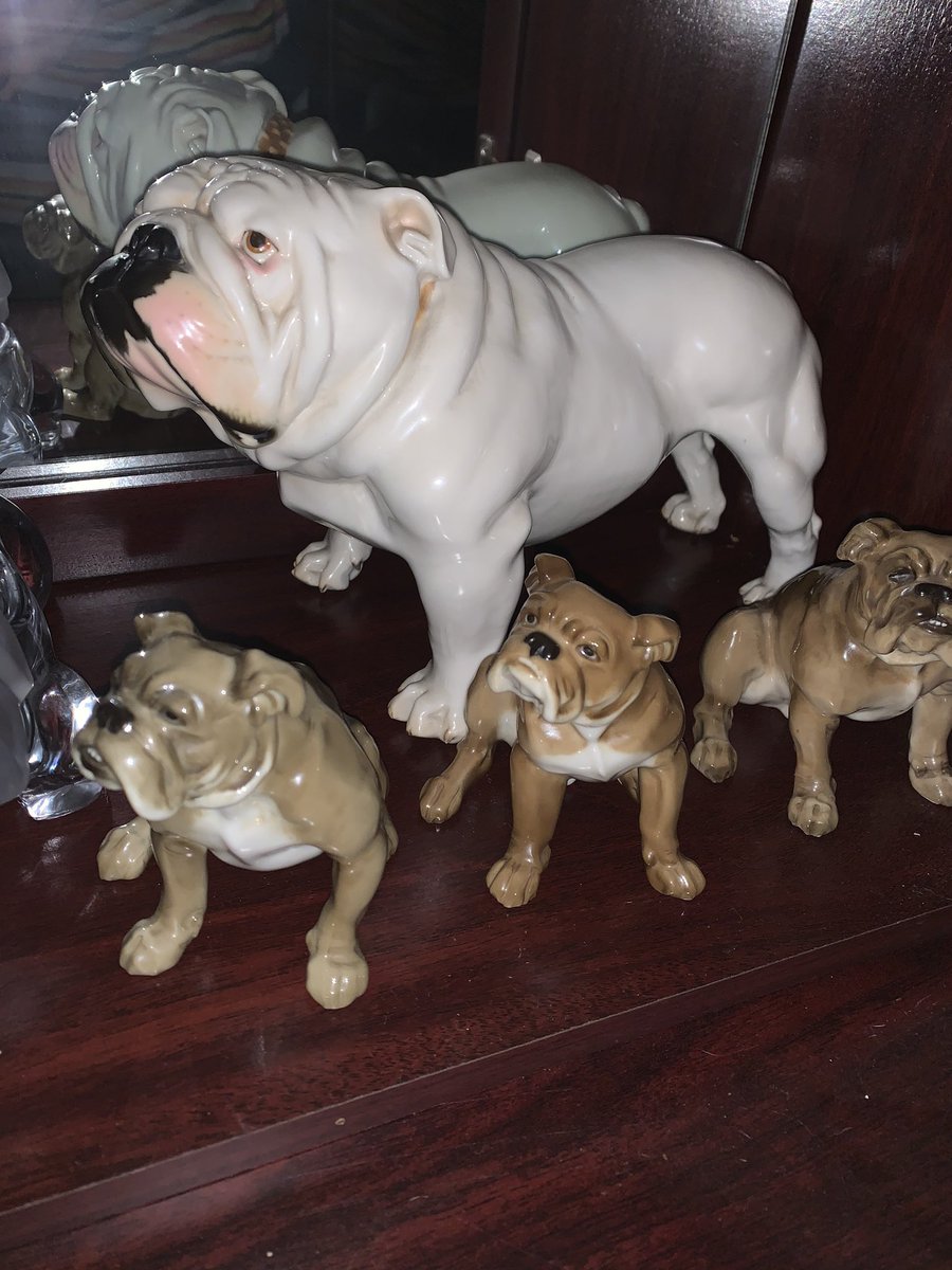collectibulldog's tweet photo. #collectionvscollector https://t.co/lFp0VfLiVb