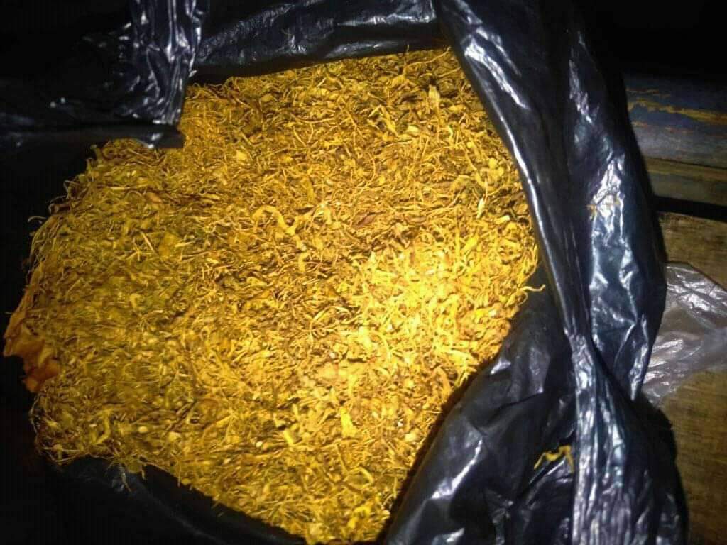 baccomagic's tweet photo. Gold Barong fresh organic! Ready Mapping, Ekspedisi dan Gosend Only, Fast Map untuk Bogor - Depok - Tangsel, langsung tanya ketersedian melalui DM. Hanya terima pembelian 5 sampai 25R.
#jualsinte #jualgori #sinte #gori #tembakaugorilla #tembakausinte #bogor #depok #jualbelisinte https://t.co/MCSAsyRcXq