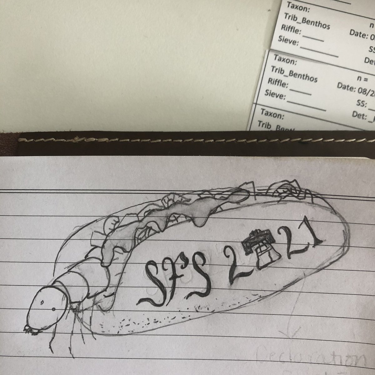 KatieBille's tweet photo. #SummerOfScienceSFS has been great! I learned so much and met awesome people virtually! Im looking forward to hopefully meeting irl at #SFS2021 in Philly! 
Btw do you love this caddis in a cheesesteak case or have I ruined cheesesteaks for everyone?😂 https://t.co/qCy89mB1xh