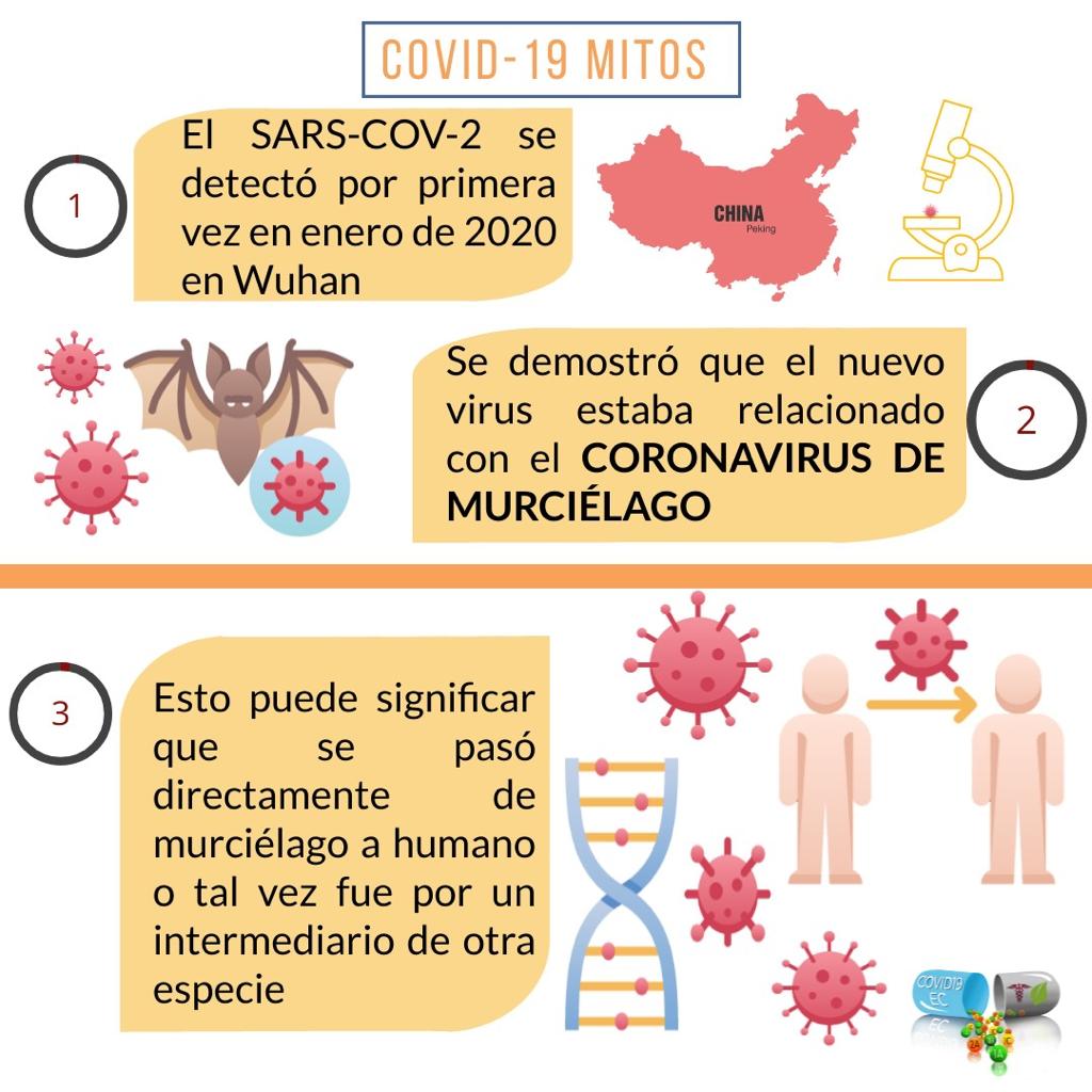 Covid19ec2's tweet photo. ¿El corona virus es una arma biológica?

Informate 👇🏻👇🏻👇🏻

#coronavirus #pandemia #Historia #Estudiantes #InformadosDeTodo #Ecuador #MedTwitter https://t.co/cpAPf7WZBe