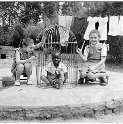 sober_daddy's tweet photo. Why?? #African #black https://t.co/pfnuDck3hq
