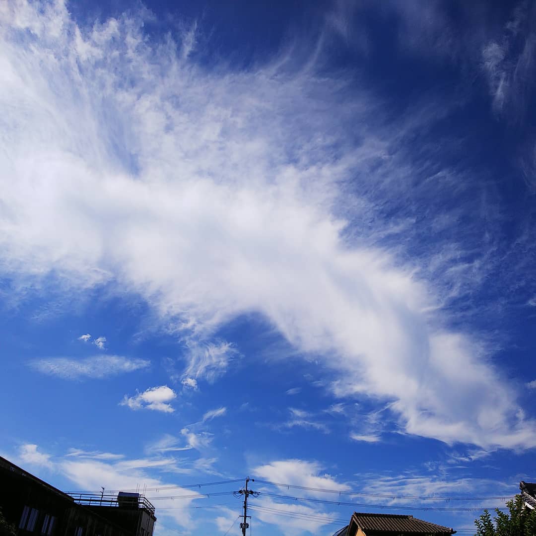 marutomo_himi_h's tweet photo. おはようございます🥰

熊本県
鹿児島県の方々
大丈夫でしょうか

早めに避難を

雨が落ち着く事
祈ります

無難でありますように

皆々様に幸運が
舞い降りますように

🕊️🌳⛅️🌳🌄🌳⛅️🌳🕊️

#この間の空の残り
#キリトリセカイ
#空が好き
#空がある���景
#ファインダー越しの私の世界 https://t.co/n0NVQlwAg8