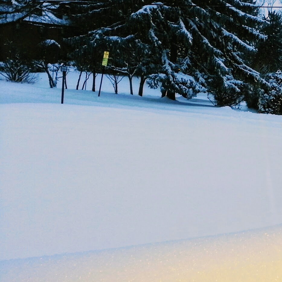 Cellucci_m's tweet photo. Yes...it was a beautiful blizzard a few years back and I LOVED EVERY MOMENT OF IT ... esp on a nearly 100 degree summer day! #winter #snow #wantsnow https://t.co/Kefa6pDpMl