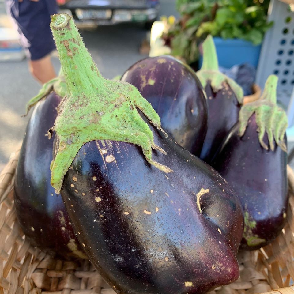 UPlaceNC's tweet photo. @chfarmersmarket
Yes we are open on July 4th! Veggies are still growing and our farmers are eager to share them with you this weekend. #localstimulus #gottobenc #eatlikeafarmer #uplacenc #universityplace #chapelhill #farmersmarket https://t.co/5Qeacjkqku