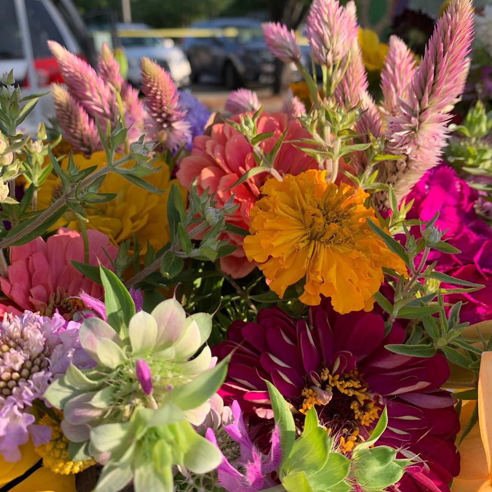 UPlaceNC's tweet photo. @chfarmersmarket
Yes we are open on July 4th! Veggies are still growing and our farmers are eager to share them with you this weekend. #localstimulus #gottobenc #eatlikeafarmer #uplacenc #universityplace #chapelhill #farmersmarket https://t.co/5Qeacjkqku