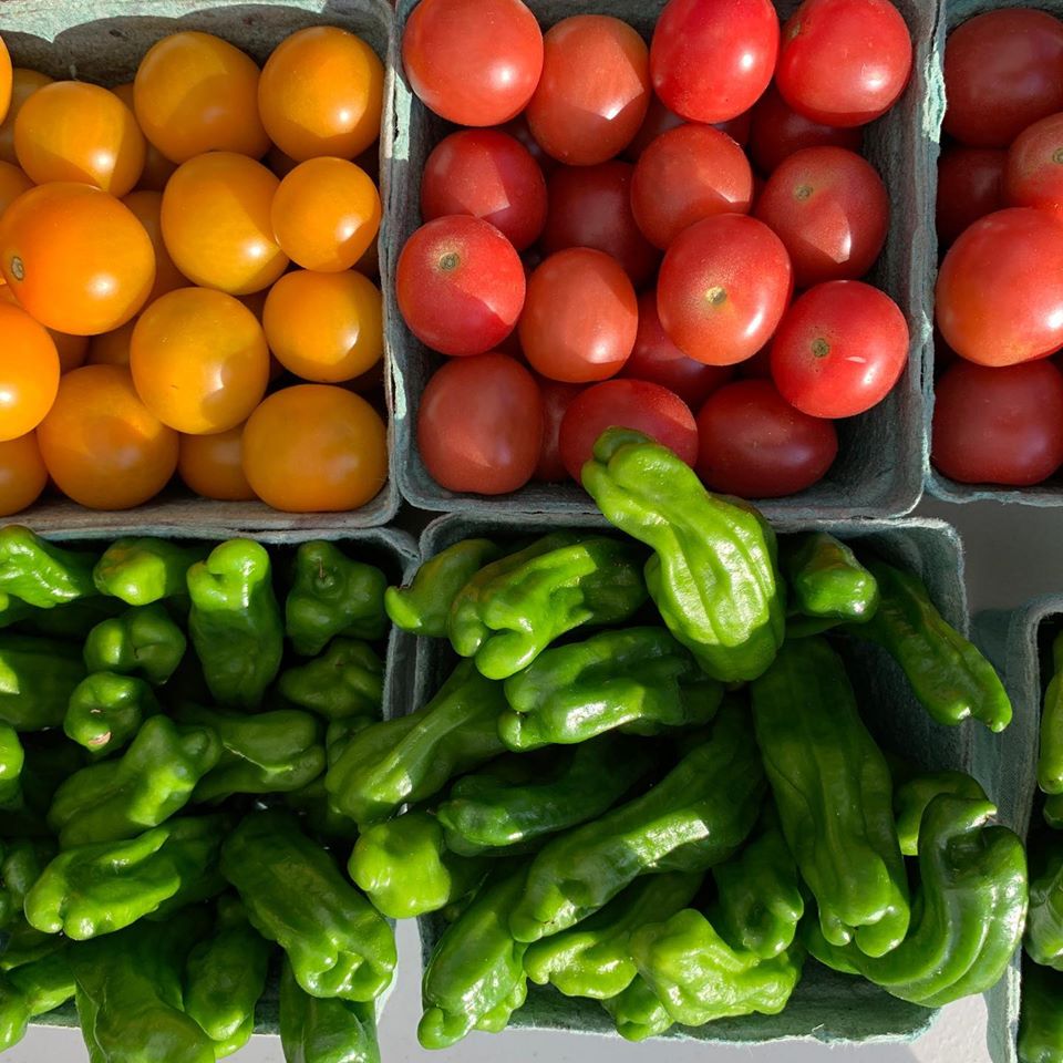 UPlaceNC's tweet photo. @chfarmersmarket
Yes we are open on July 4th! Veggies are still growing and our farmers are eager to share them with you this weekend. #localstimulus #gottobenc #eatlikeafarmer #uplacenc #universityplace #chapelhill #farmersmarket https://t.co/5Qeacjkqku