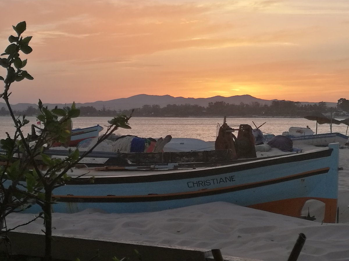 Day 1/7😉 #mylifeinpictures. No people, no description. Challenge someone everyday. I was challenged by <a href="/MoezAmor3/">Moez Amor</a>, <a href="/chokriba/">Chokri ben Abdallah</a>  and <a href="/JebaraDaoud/">Daoud Ben Jebara</a>. Today i challenge <a href="/imen_atallah/">Imen Atallah Landoulsi</a>