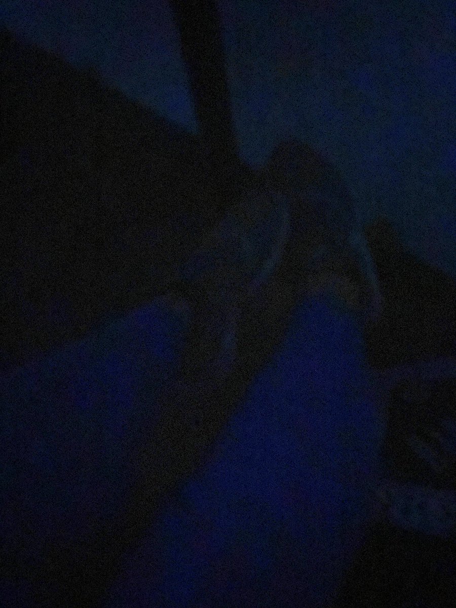 trampelmatte's tweet photo. Die Sau leckt im Schrebergarten Füße 
Nettes kurzes Cash to Go 😝😝😝😝
#füsse #trampling #poppers #footfettish #footfreaks #FOOTFETİSH #footfetısh #feetlick #feetqueen #feetpicforsale #feetsub #feetvideo #Loser https://t.co/R1lvwk6IuD
