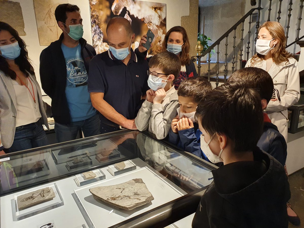 IndarClub's tweet photo. Continuamos con nuestras #colonias, esta semana en el Museo de #CienciasNaturales de #Álava. Eskerrik asko @Araba_Eus toki hauengatik! https://t.co/JdnlrbvnL7