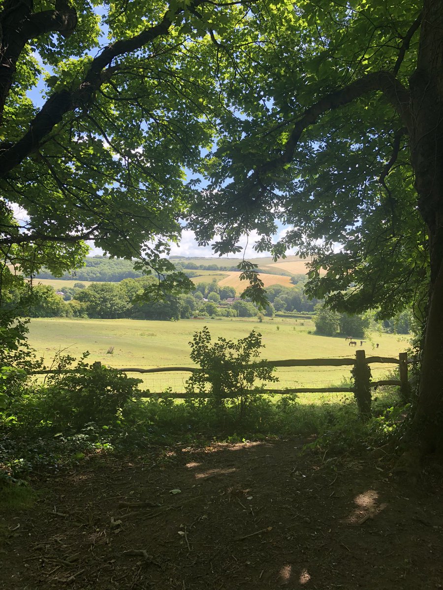 SkariJewellery's tweet photo. A much needed walk in our stunning countryside. Amazing for the lungs and the soul ✨#countryside #englishcountryside #eastsussex #timeout #Mindfulness #appreciation #slowingdown #goodforthesoul #jevington https://t.co/GUga5gDCLb