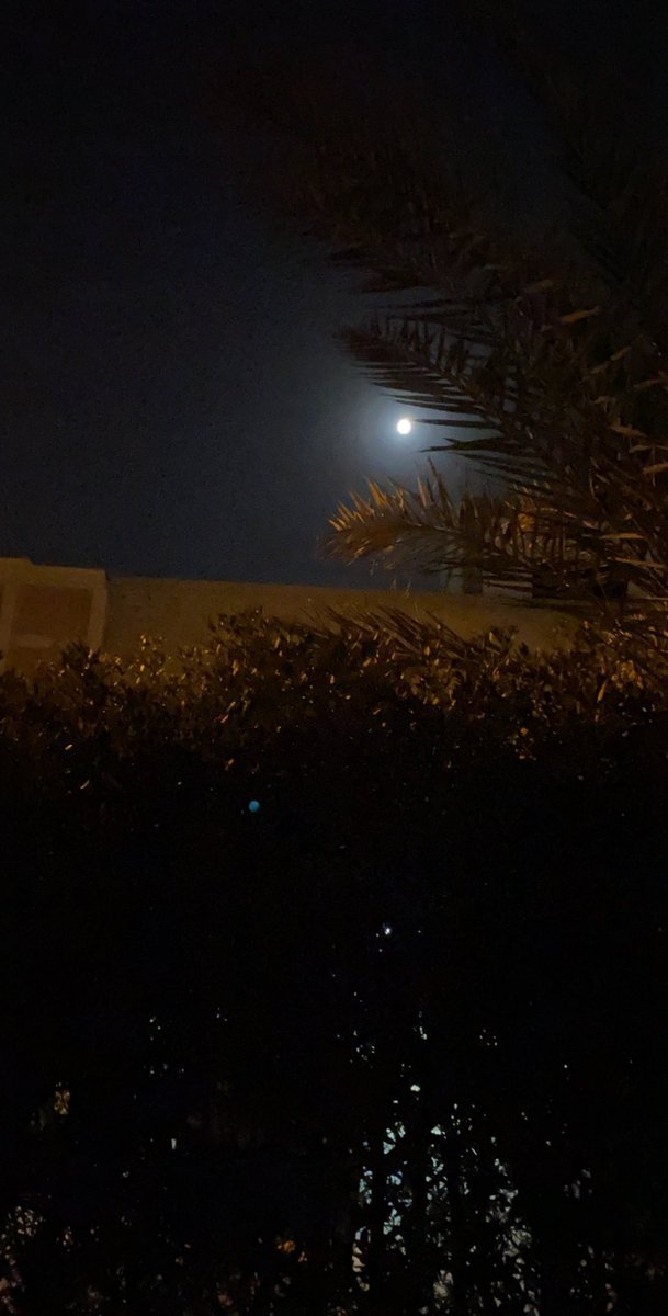 تذكّر ثلاث أعوام فيها المواصل شاع
نسانيسها عذبه ويسجع لها القمري

وتذكّر يوم إن قلوبنا لـ الغلا شرّاع
وثماني عليك ان طوّلت عوّدت عشري

أعزاز النفوس تموت ماطاح منها باع
ولابد الظلام إن حل يطلع لنا البدري !