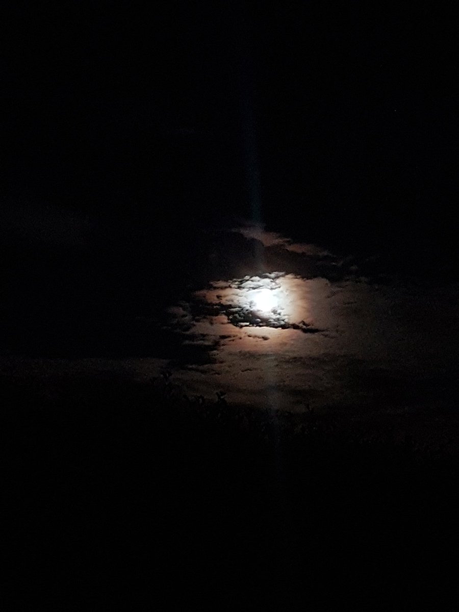 RoVaHoe's tweet photo. @frankdeboosere The #moon strikes back ⚪🌚 + #Halo  #nofilterneeded #Galmaarden https://t.co/10DLuvJpS7
