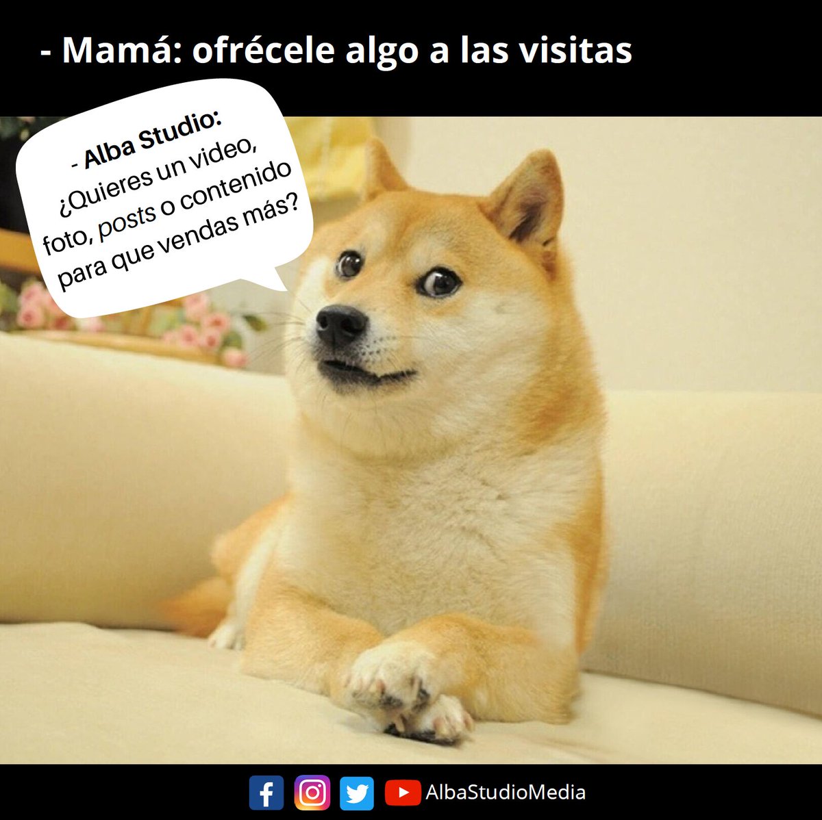 AlbaStudioMedia's tweet photo. 🤭 😁 ¡ Anden, ayúdennos! 😂 #ComercioLocal #Microempresa #Pymes #negociosonline #AlbaStudio https://t.co/Z2hSYa2BYy