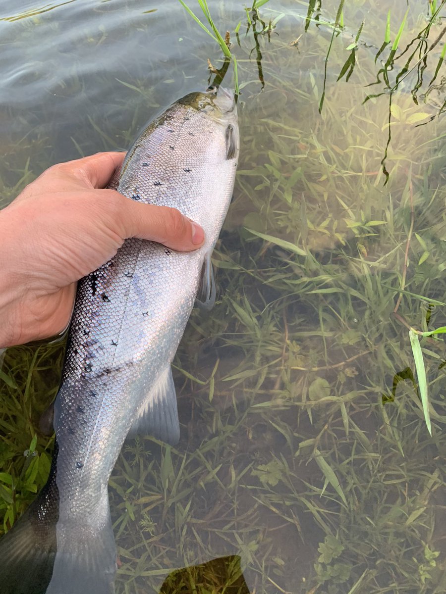 Daniel Clarkson tweet media