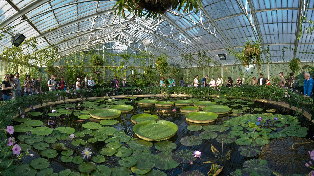 Royal Botanic Gardens, Kew https://en.wikipedia.org/wiki/Kew_Gardens https://www.kew.org 