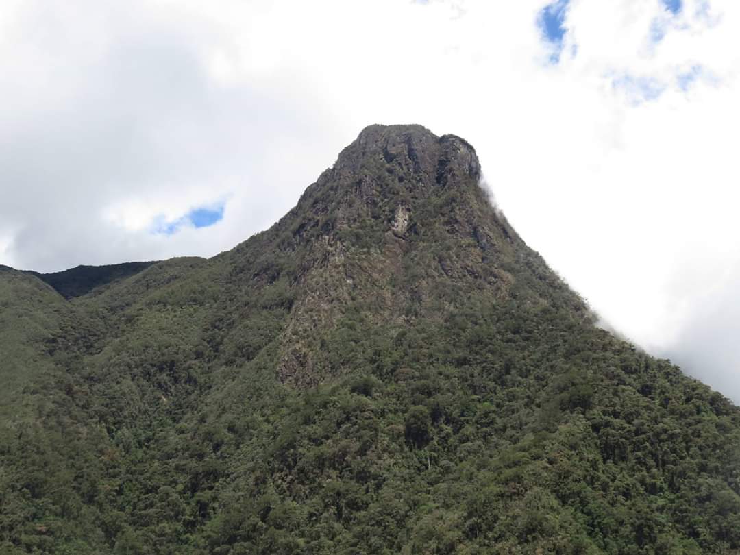 Iberianamerica's tweet photo. Hiking through the coffee triangle near Pereira, Colombia. 

#Pereira #Colombia #coffeetriangle https://t.co/c0WVaCcwrY