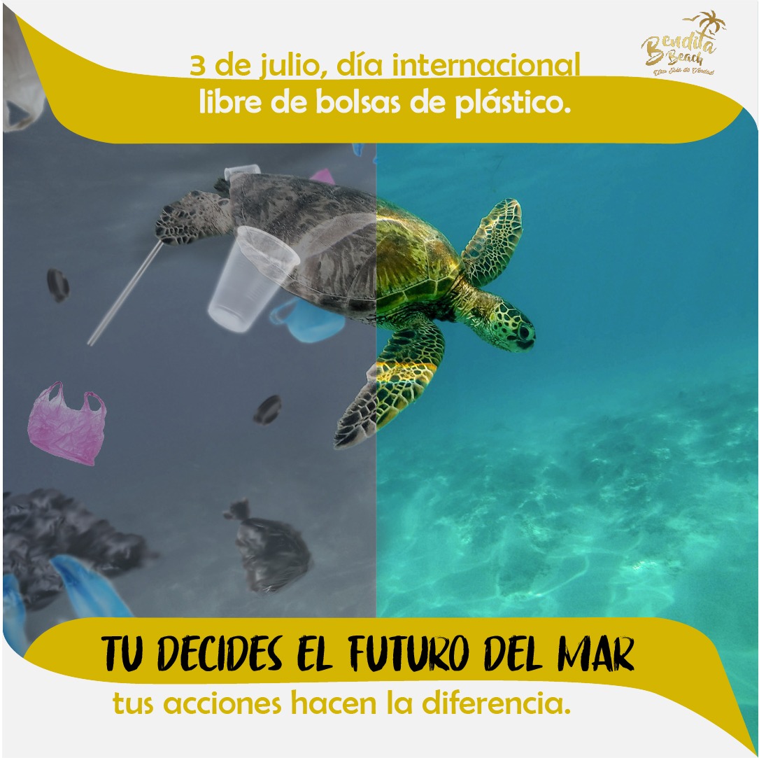 benditabeach's tweet photo. Cuidemos el mar, tratemos de usar en lo mínimo bolsas plásticas.

https://t.co/L8si9Asruh

#noplastic #benditabeach #cartagena #turismoresponsable #colombia #lafantastica https://t.co/dFqup6L4Q3
