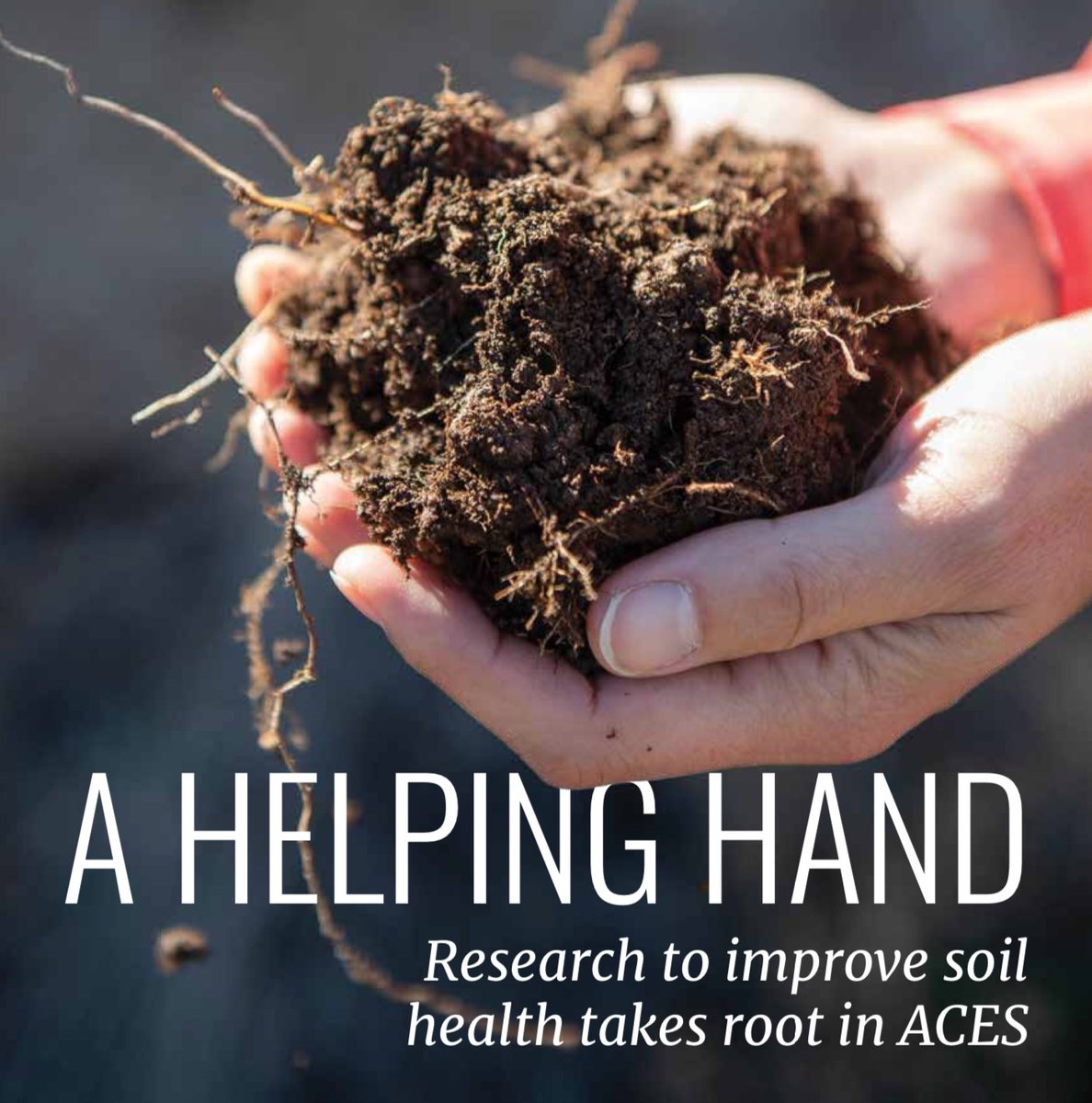 AgroEcoResil's tweet photo. Take note! The cover story of spring 2020 @nmsu_aces ACES Magazine featured not one but *two* ARID team members' hands. #handsholdingsoil #whohelditbetter https://t.co/BHYJTPn3R3