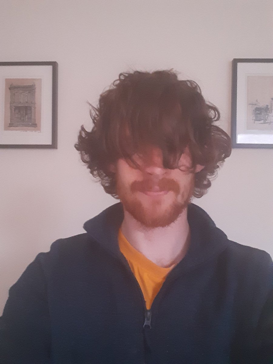 Harry Holmes tweet media