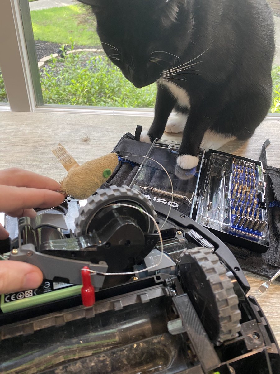 undeniablyrob's tweet photo. Anyone with a @iRobot #Roomba know how to get the tire off? Our #cat’s favorite toy got stuck in the wheel. #ConwayKitty watches anxiously to see the outcome of the surgery https://t.co/k9e2k2k2VP