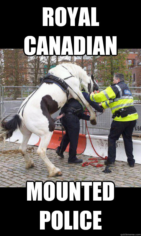 PictureofTheDay's tweet photo. Internet Memes, #PoliceMemes, Funny Police Pictures | Funny Tonight
https://t.co/VhfGIhFx3f https://t.co/zpAIvtG8hx