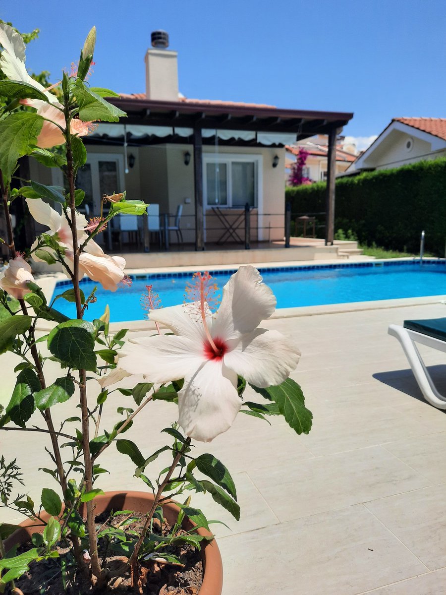 #Tuerkei #Turkiye #Turkish #photooftheday #photo #nikonphotography #summer #SummerVibes #Summer2020 #nikolaworld2020 #tatilbudur #POOL #fotografia #FOTO