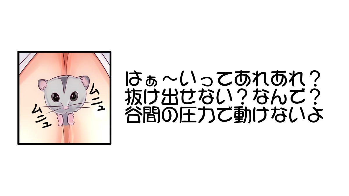 久々の寸劇シリーズ
小動物がうらやましい・・・・です
#雪乃ちゃんねる!
#ドクター・ドリトル 