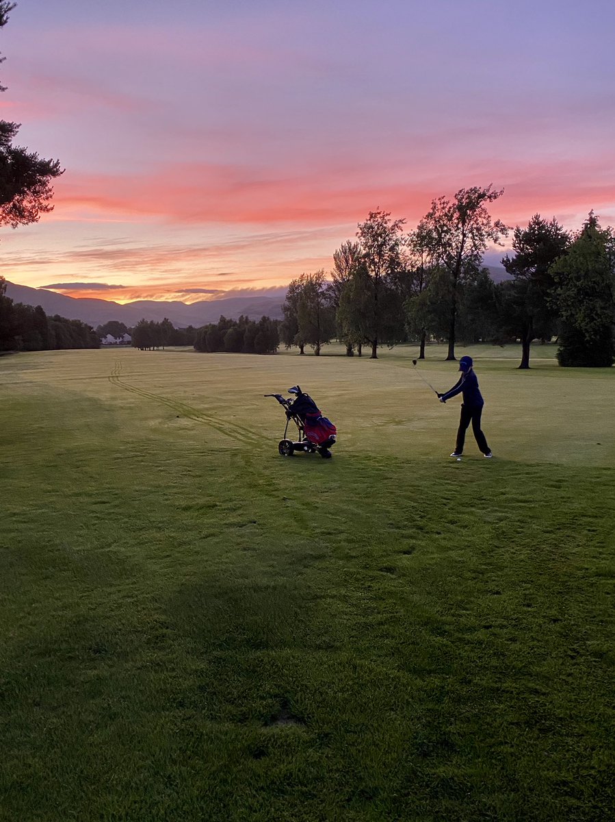 Allan Macdonald tweet media