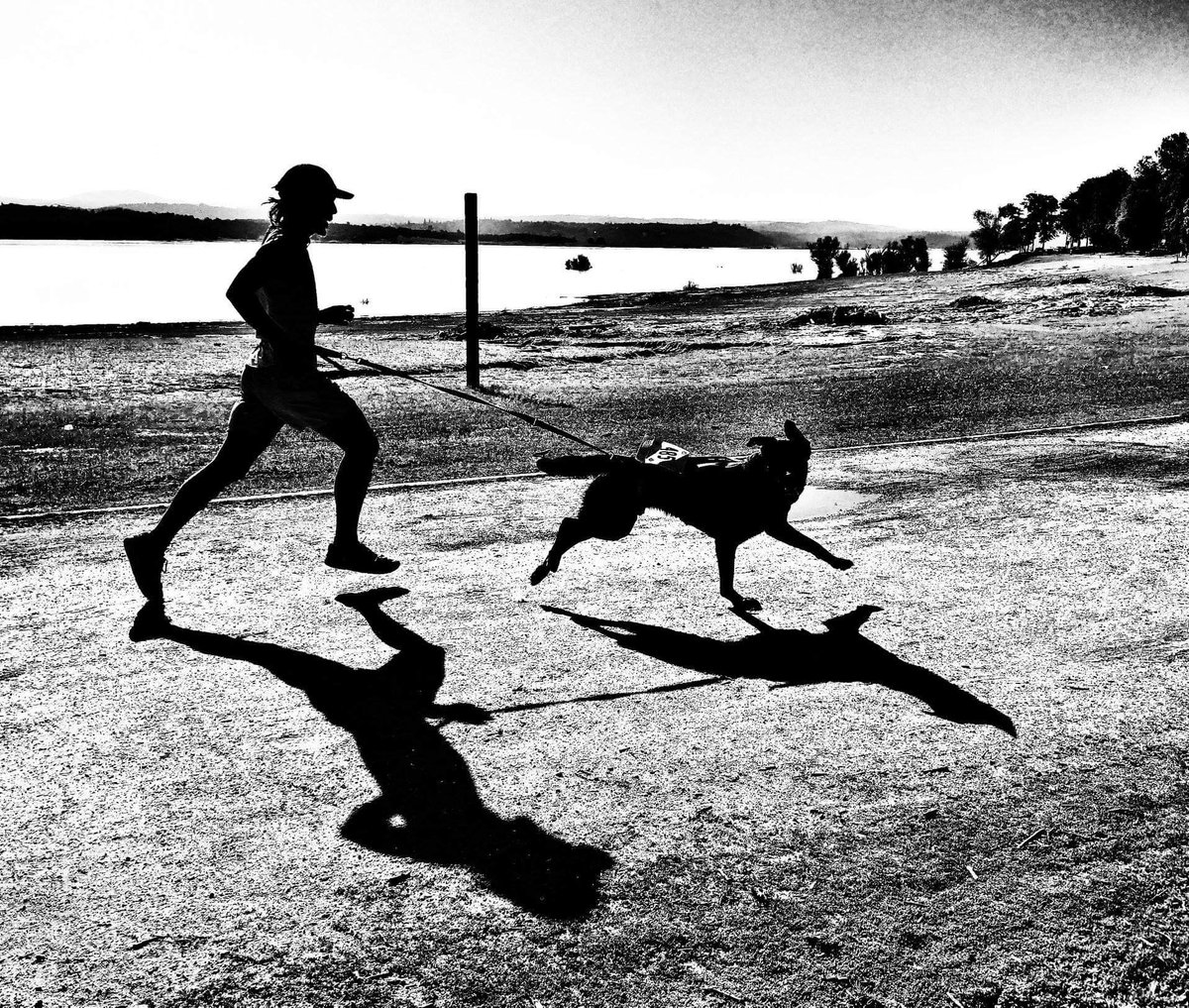 NEW PODCAST: Dogs are mankind's best friends and many times our best running companion.  Join 
<a href="/v_sportdesign/">Victory Sportdesign</a>
, Victor Ballesteros and 
Dr. @itsmyvoX as we discuss our canine friends and how to make the most out of our running experience with them. podcasts.apple.com/us/podcast/tra…