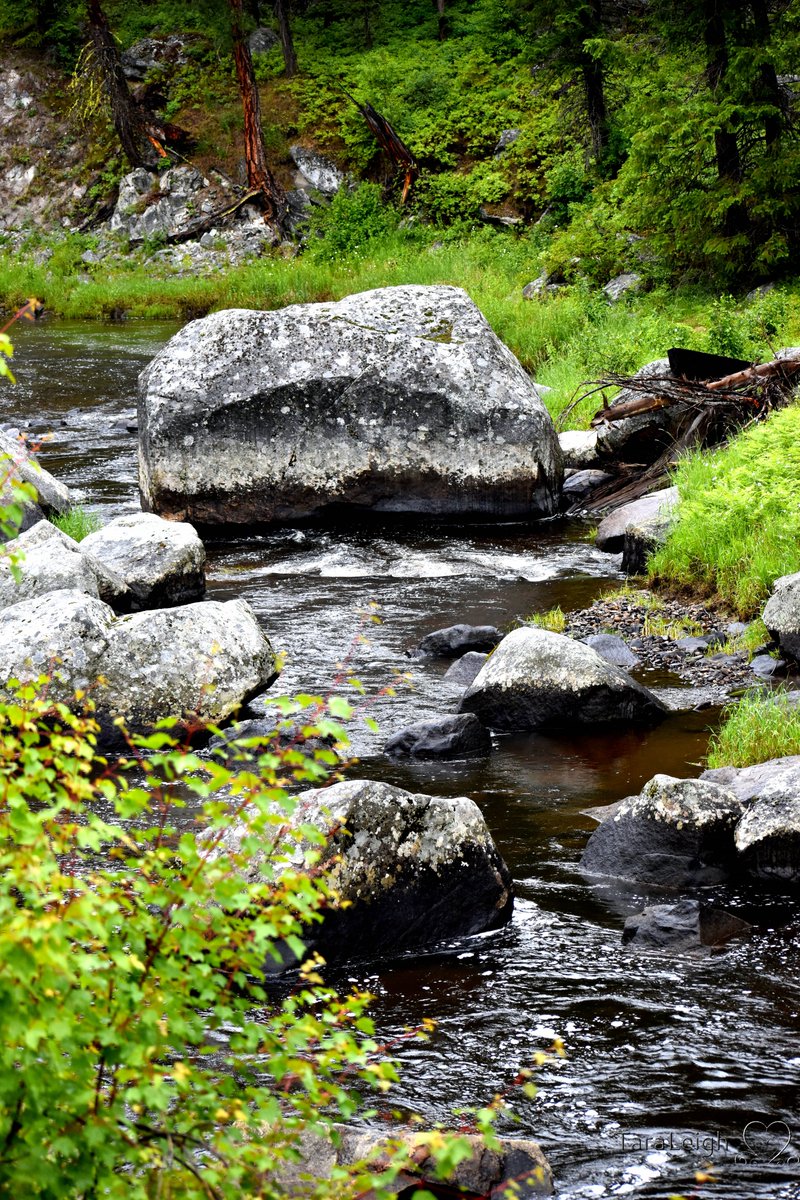 JustPhotograp12's tweet photo. Little River, Idaho
#Nikonphotography #Riversandstreams #Idaho #Water #Photography #PNW https://t.co/lZbVYwmNPa