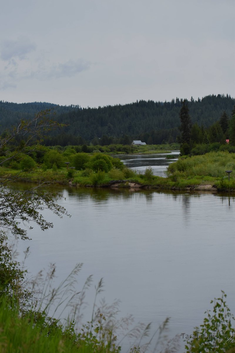 JustPhotograp12's tweet photo. Little River, Idaho
#Nikonphotography #Riversandstreams #Idaho #Water #Photography #PNW https://t.co/lZbVYwmNPa
