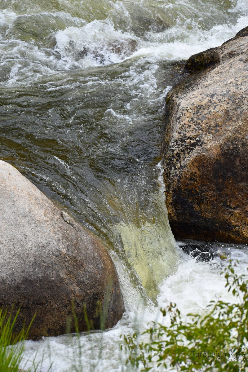JustPhotograp12's tweet photo. Little River, Idaho
#Nikonphotography #Riversandstreams #Idaho #Water #Photography #PNW https://t.co/lZbVYwmNPa