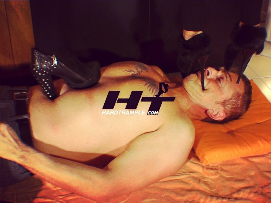 HardTrample's tweet photo. Your face is surely the right floor for my thin heels...
#trample #trampled #trampleface #trampledbyturtles #facetrample #trampleme #stomachtrample #throattrample #tramplematt #trampleheels #tramplecity #trampleather #multitrample #tramplechoke #trampledunderfoot #trampling https://t.co/8I2TcFRehX