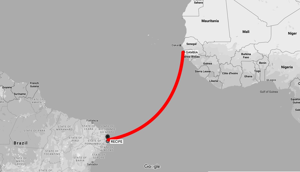 Abubakari's fleet of pirogues, loaded with men and women, livestock, food and drinking water, departed from what is the coast of present-day Gambia.He never returned and It is believed that in 1312 Abubakari II landed on the coast of Brazil in the place known today as Recife.