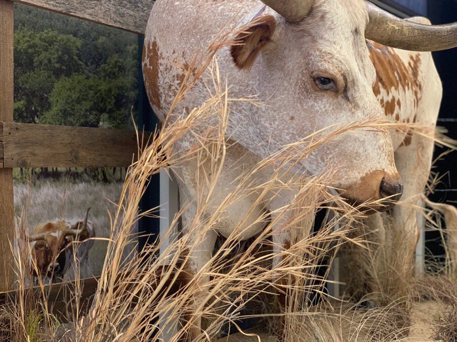 Sullivan_J_A's tweet photo. @ncwhm #HashtagThanksTim! For sharing these remarkable art pieces. Your careful selection to illustrate the words of Katherine Lee Bates’s “America the Beautiful”! You made my #IndependenceDay weekend! https://t.co/EdxjLkhFPS