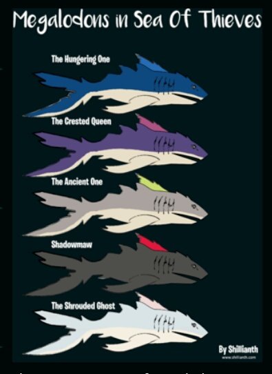 SS__Sloth's tweet photo. @killzone1401 @SeaOfThieves Its way to light to be a shadowmaw. The shadowmaw is dark grey with a red fin, while the shrouded ghost has pale whit/grey skin with a peach fin. https://t.co/mJxagor6ef
