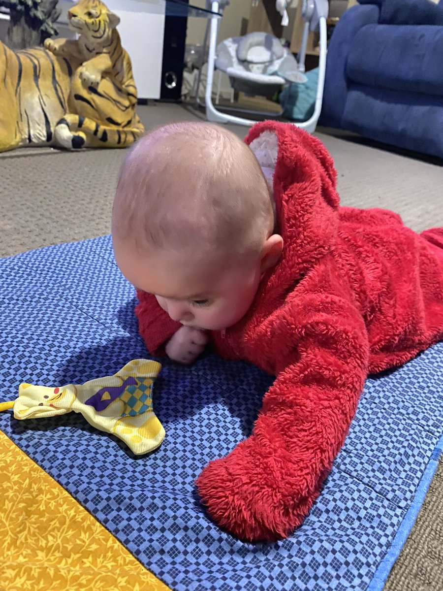 stabbypickle's tweet photo. baby update https://t.co/0U6IOWktmp