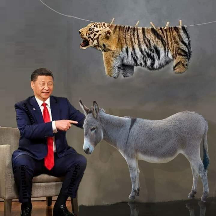 Feku_Kaka's tweet image. अति निन्दनीय 😭
#ModiRocksChinShocked #modiinladakh