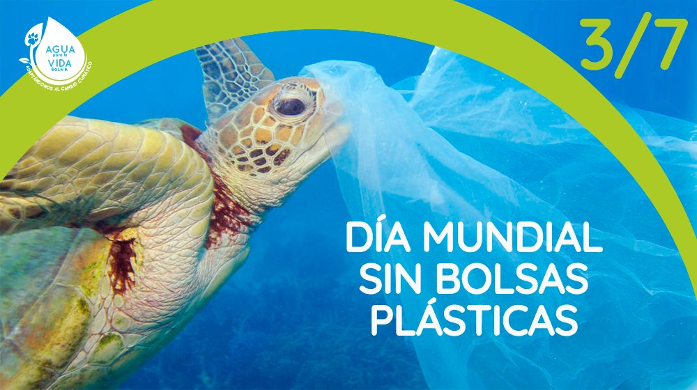 agua_bolivia's tweet photo. #DiaInternacionalLibreDeBolsasDePlastico Sabías que:
¿Las bolsas plásticas tardan 1000 años en degradarse?
¿Causan la muerte de +100.000 especies marinas y + 1,000.000 aves❓
¿Menos del 5% son recicladas❓
Digamos #Adiosbolsasplásticas❗️
#AguaParaLaVida Bolivia https://t.co/5m1ptZBbSh