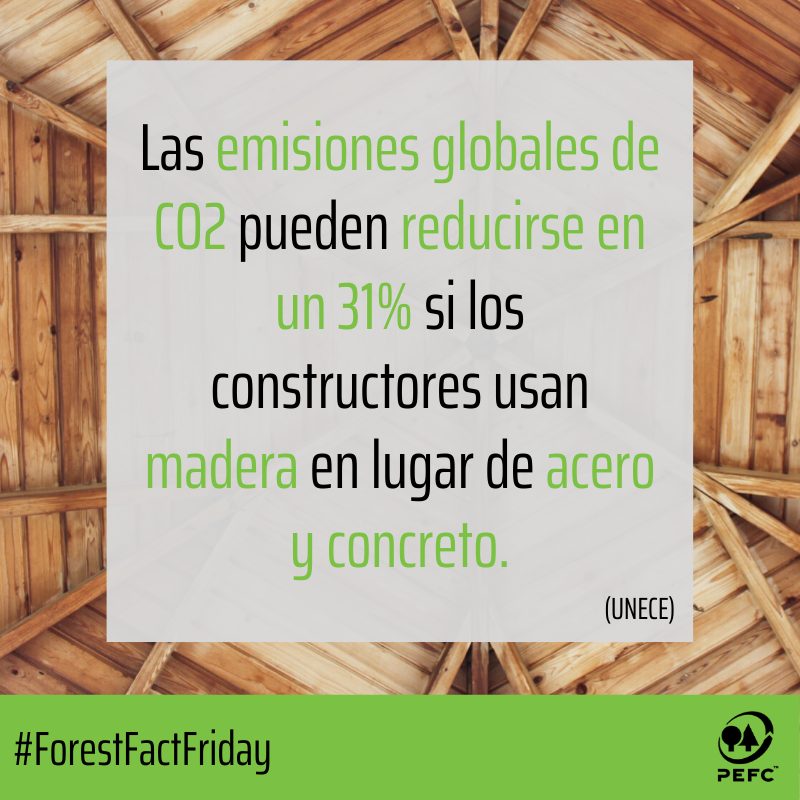 CERFOAR's tweet photo. La #madera es EL material renovable de construcción.
Comparada con hormigón, acero, cemento y vidrio, la madera requiere menos energía en la producción y en lugar de emitir, almacena carbono.
#ForestFactFriday #20YearsOfCaring #PEFCArgentina #ConstruirConMadera #CadenaDeCustodia https://t.co/QBEydKjTfV