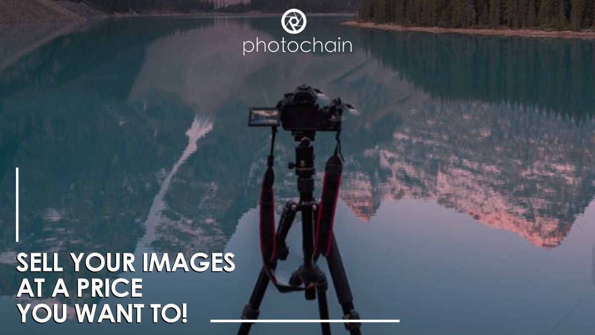 A lot of people believe that photography is something that everyone can work, but photographers often spend hours in extreme conditions to take one great shot! You need to fight for your rights and sell your artwork at a price that you consider is the right one!
#stockphotography